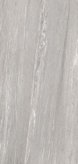 NGS1016 spc wall panel