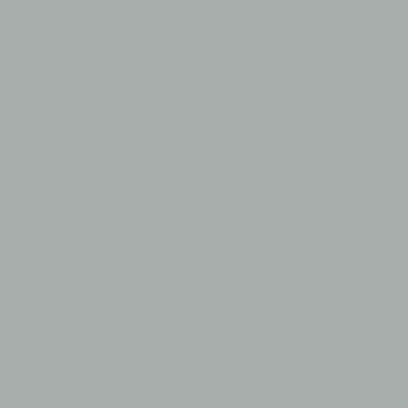 QT0302 600MM Solid Color WPC Cladding Panels