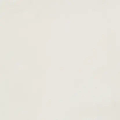 BC-50 Polished Floor Tiles